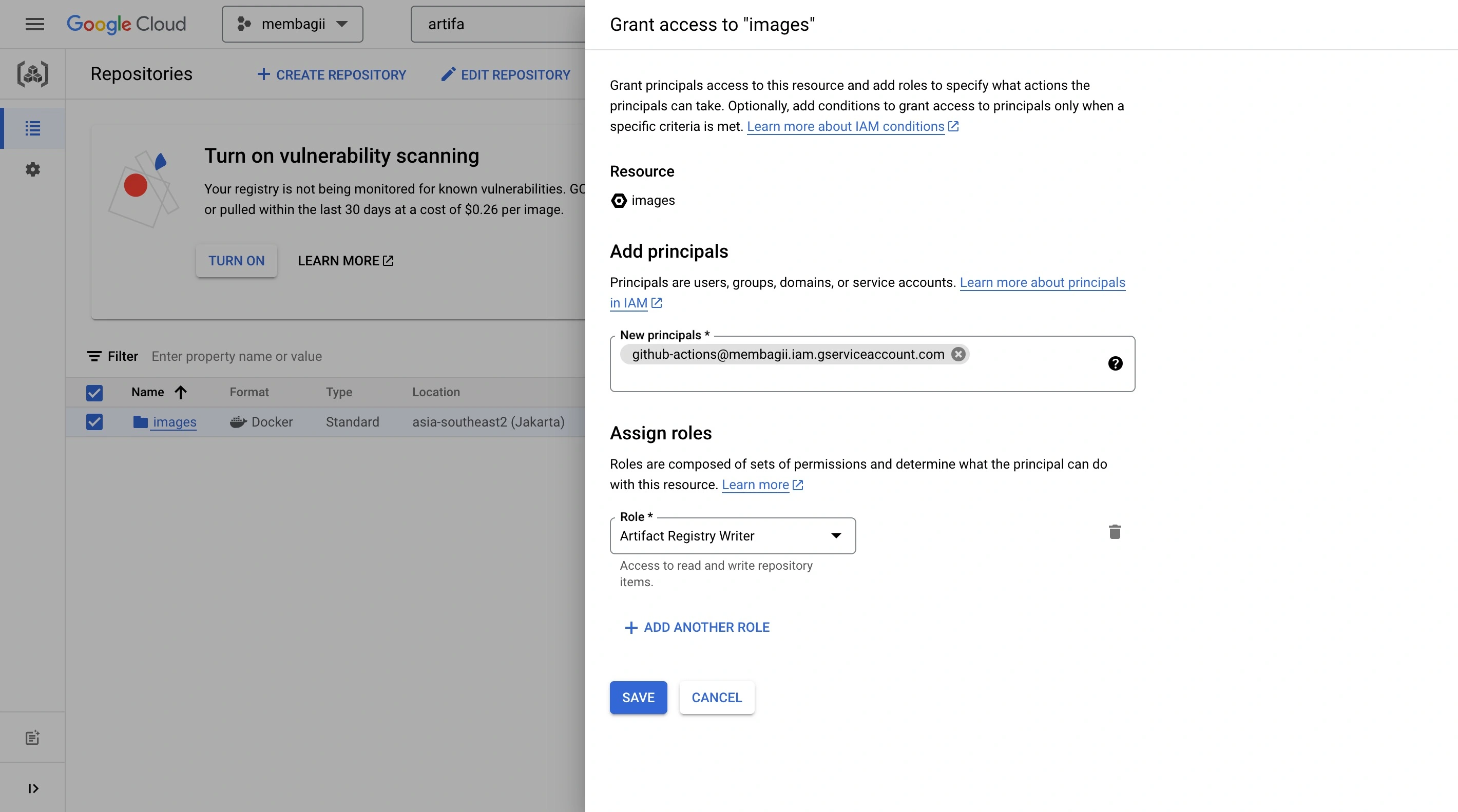 Grant Access Repo Artifact